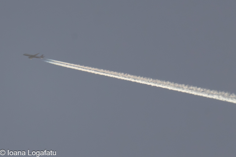 High-flying journey across a clear blue sky